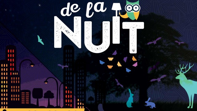 1er Prix AFFICHE OR